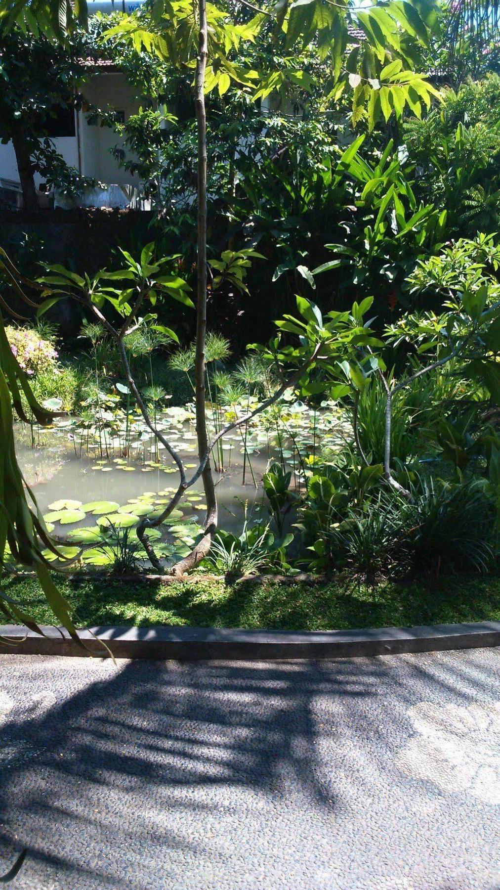 Puri Dalem Cottages Ubud Exteriör bild