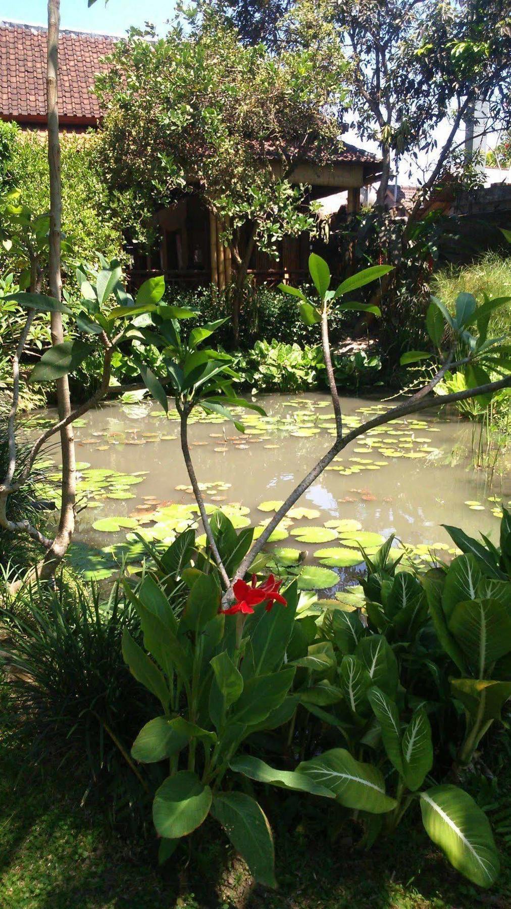 Puri Dalem Cottages Ubud Exteriör bild